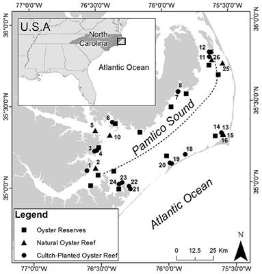 Oyster Demographics in Harvested Reefs vs. No-Take Reserves: Implications for Larval Spillover and Restoration Success